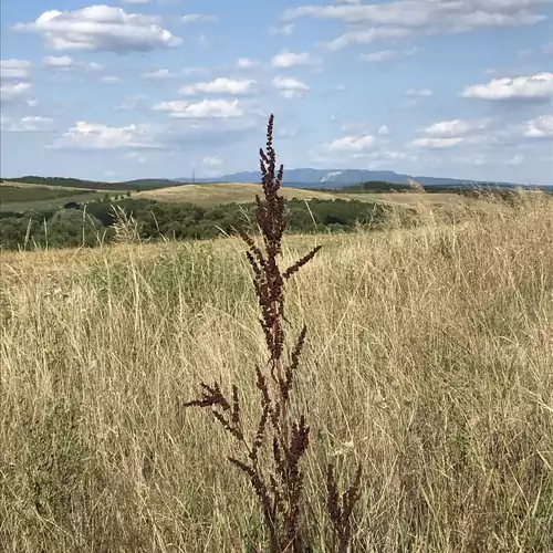 Panoráma Vendégház Bodony 079 kép