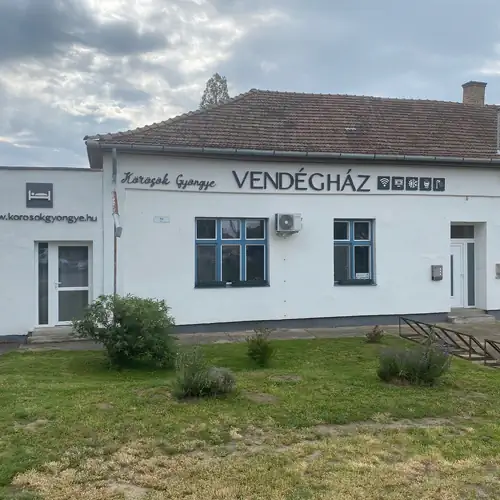 Körösök Gyöngye Vendégház Köröstarcsa 001 kép