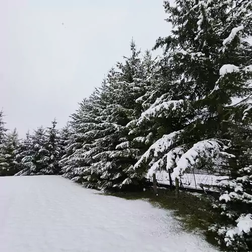 Nekézseny Gyöngye Vendégház Nekézseny 083 kép