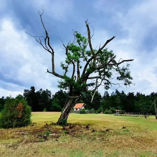 Dráva Vendégház Drávagárdony 035 kép