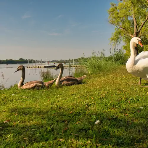 Tisza-tó Apartmanpark Kisköre 077 kép