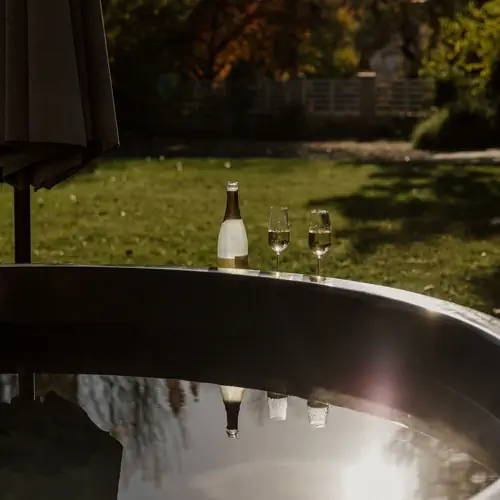 D&eacute;zsaf&uuml;rdő a kertben