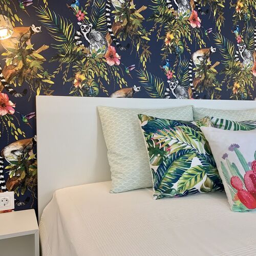 Madagascar Apartman Keszthely  4