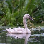 Wellness részleg, relaxáció