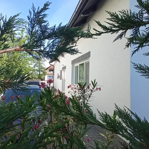 Tulipánfa Apartman Balatonszárszó 003 kép