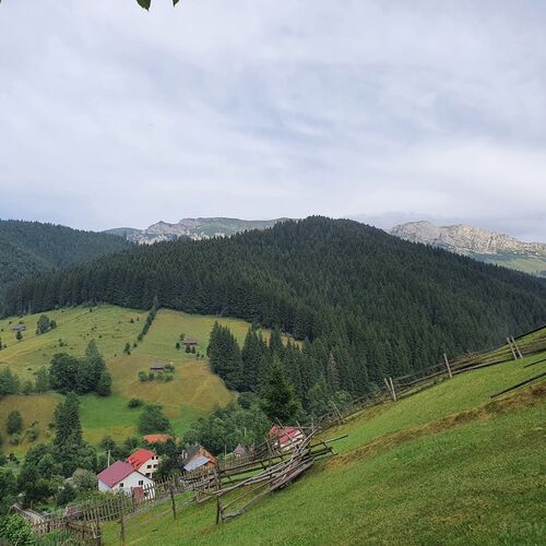 Pensiunea Alegria Moieciu de Sus