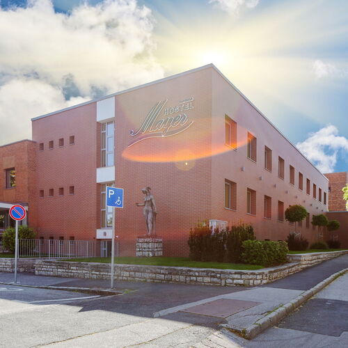 Hostel Mayer Superior Veszprém  3
