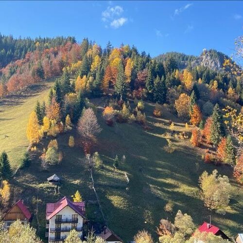 Pensiunea Bradul Moieciu de Sus