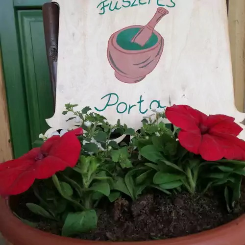Fűszeres Porta Mihályfa 010 kép