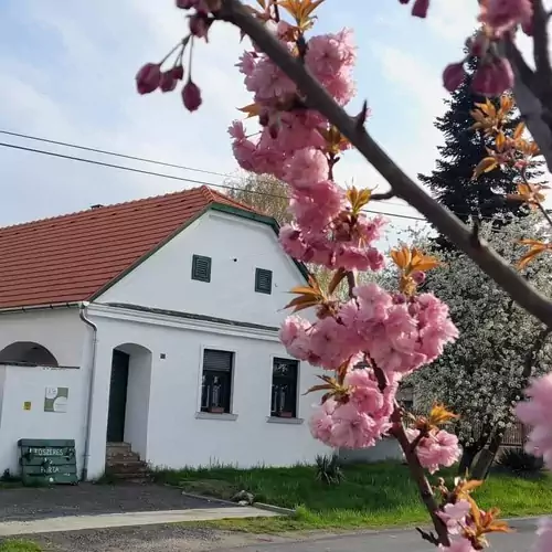 Fűszeres Porta Mihályfa 001 kép