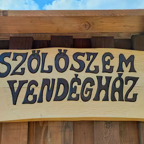 Szőlőszem Vendégház Abádszalók 003 kép