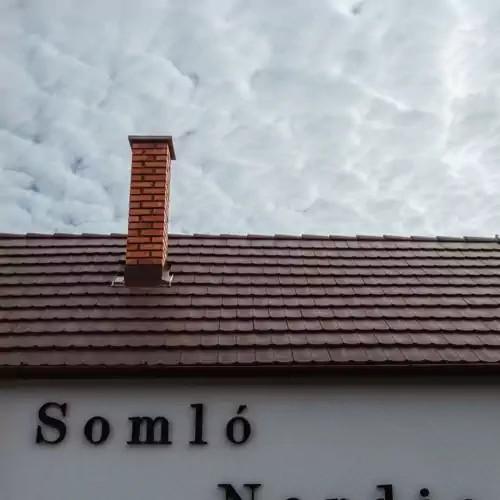 Somló Nordic Somlószőlő 005 kép