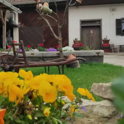 Szívek Álma Vendégház Monyoród-Baranya 010 kép