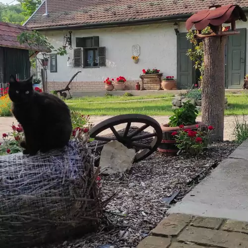 Szívek Álma Vendégház Monyoród-Baranya 030 kép