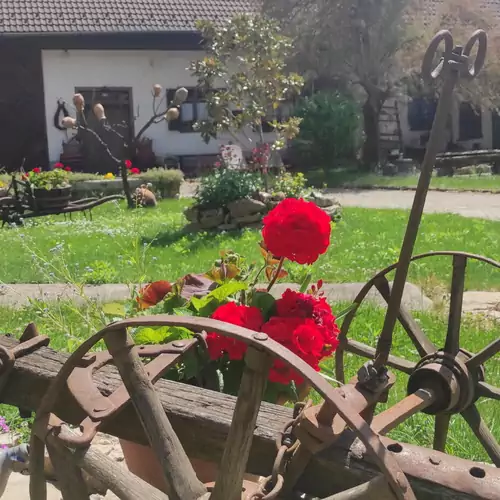 Szívek Álma Vendégház Monyoród-Baranya 097 kép