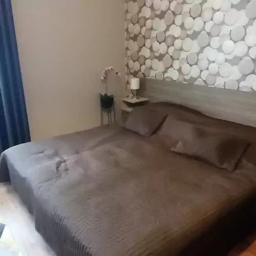 Harmónia Wellness Apartman Zalakaro 012 kép