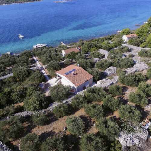 House Marko Tkon II