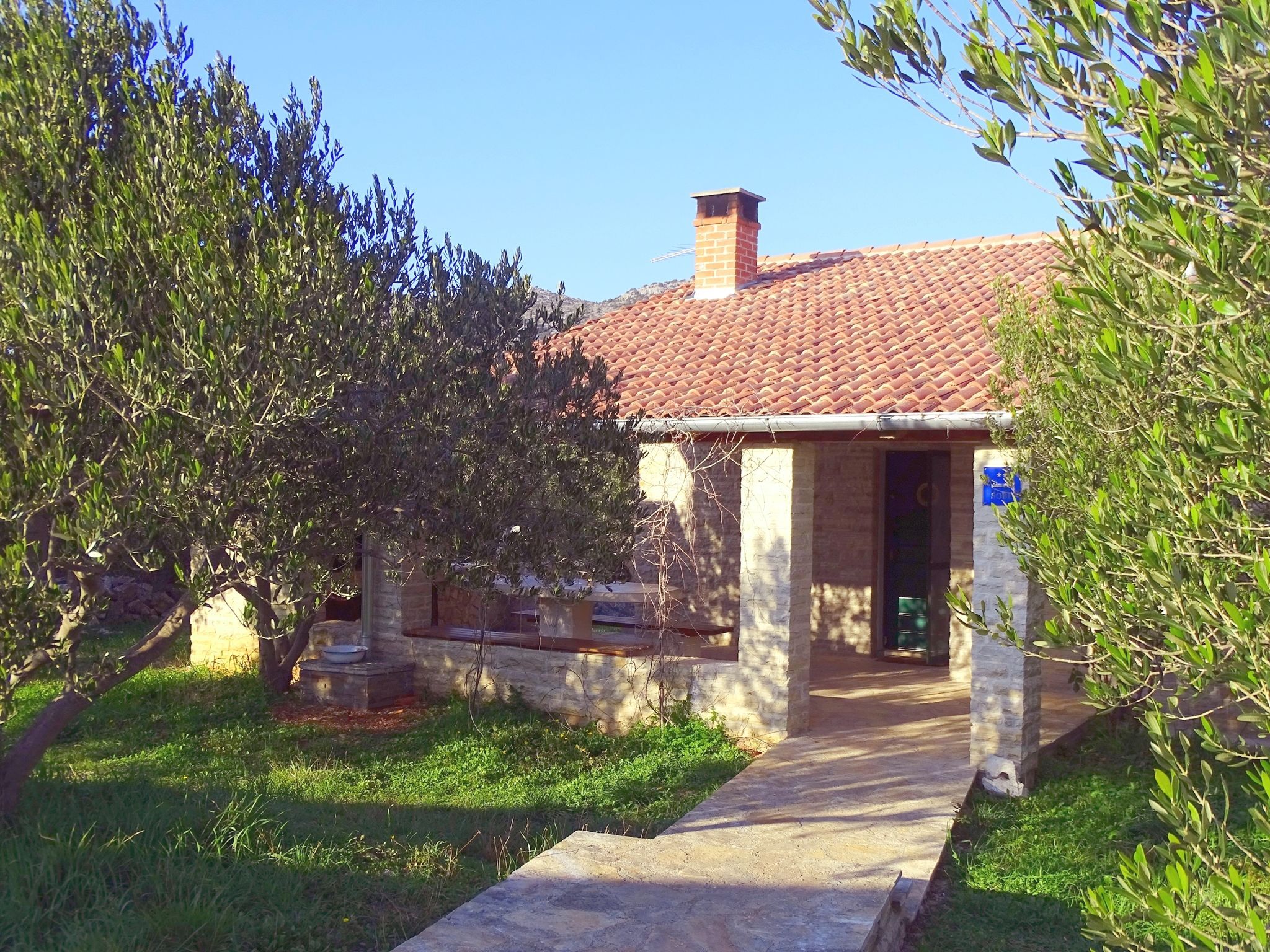 House Pygmy Cormorant Pirovac