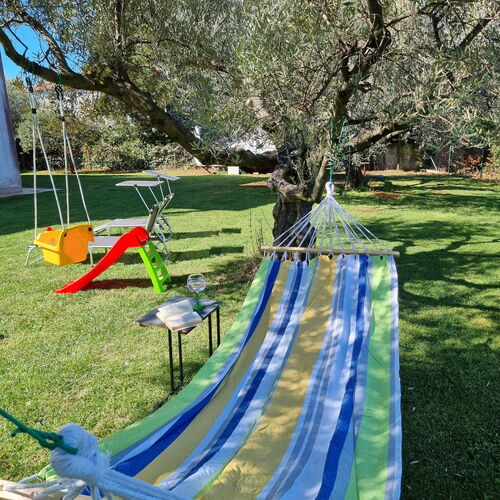 Apartman Meri Zambratija  4