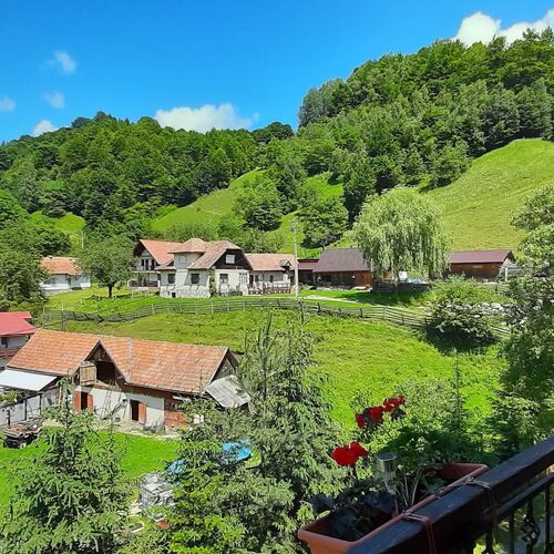 Pensiunea Montan Șimon