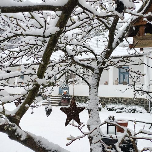 Kiskilenc Vendégház Szarvaskő