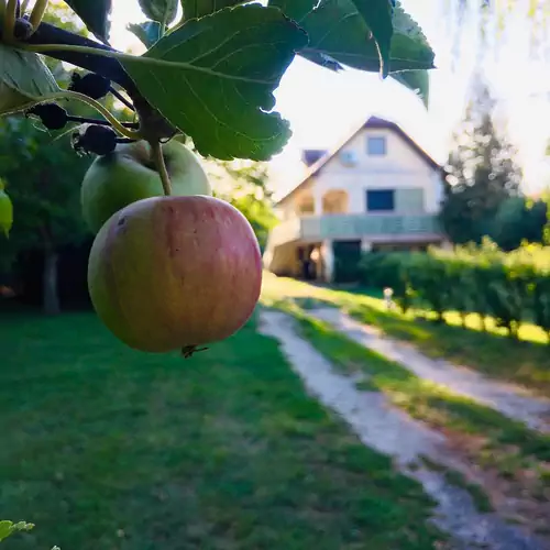 Csendes Vendégház Cserszegtomaj 002 kép