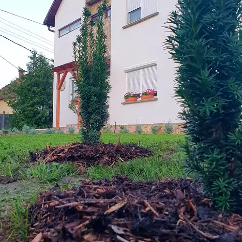 Fehér Akác Vendégház Fenyőfő 011 kép
