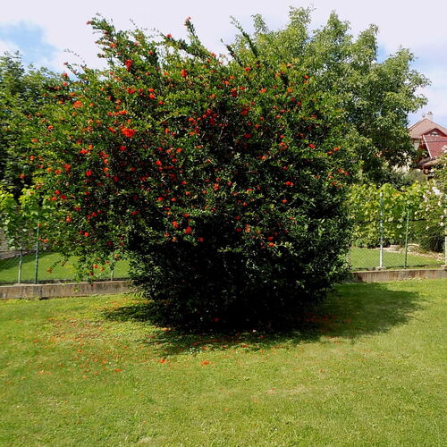 Aartház Balatonfüred  4