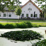 Centru Wellness, relaxare