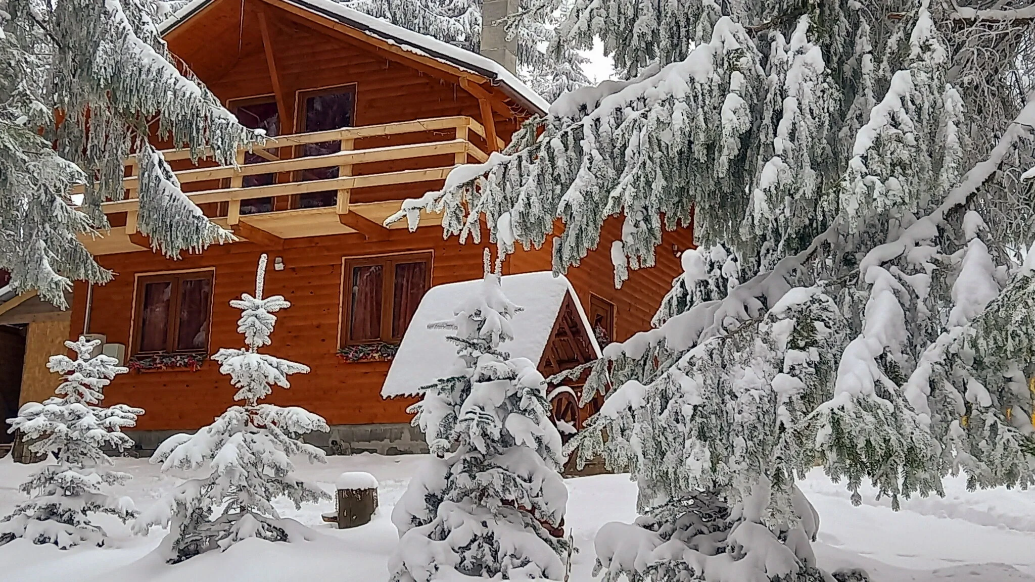 Cabana Dávid-Lak Sântimbru-Băi