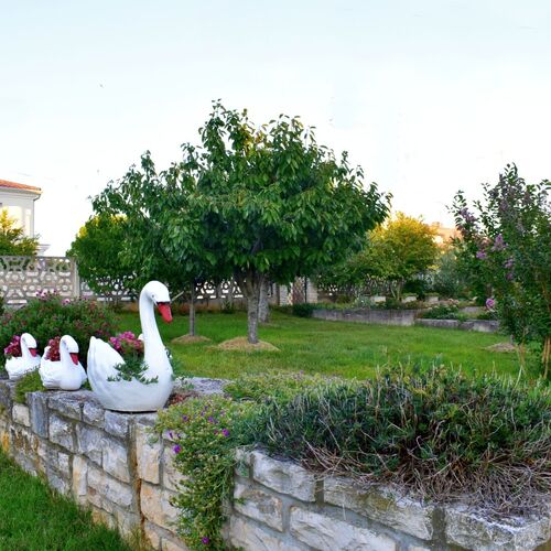Apartmani Lučana Zambratija  4