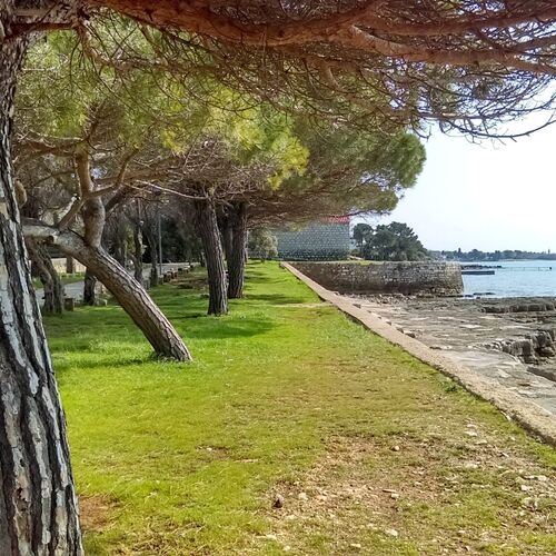 Apartmani Lorena Umag Đuba  3
