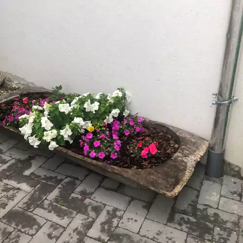 Ladislaus Schnaps-Haus Falusi Vendégház Csolnok 012 kép
