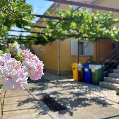 Apartmanok Parkolóhellyel Silo, Krk - 18757 Šilo  3