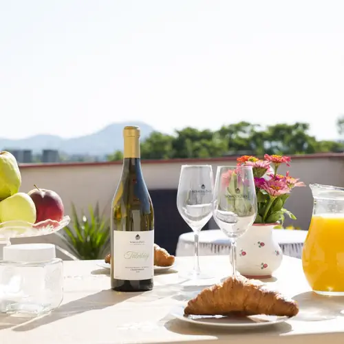 Tetőteraszunkr&oacute;l &eacute;lvezheti a pazar kil&aacute;t&aacute;st a tan&uacute;hegyekre.