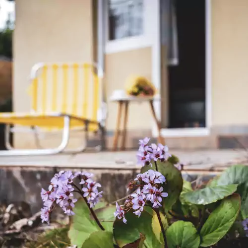 apARTmanházak Miro Siófok 012 kép