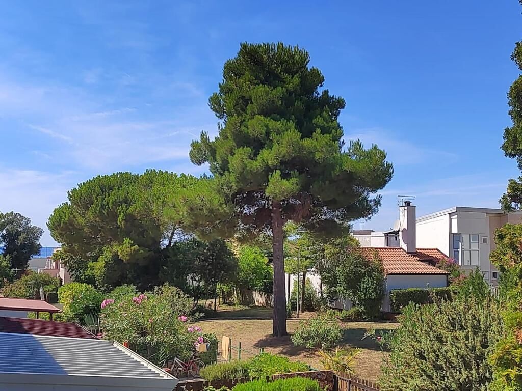 Apartman Golden Sun Novigrad