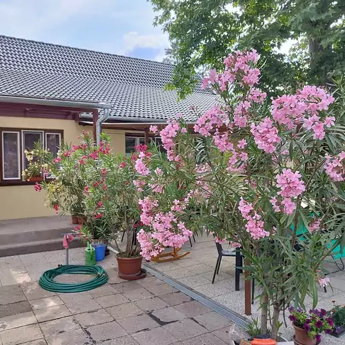 Tartós Szegfű Vendégház Tázlár 072 kép