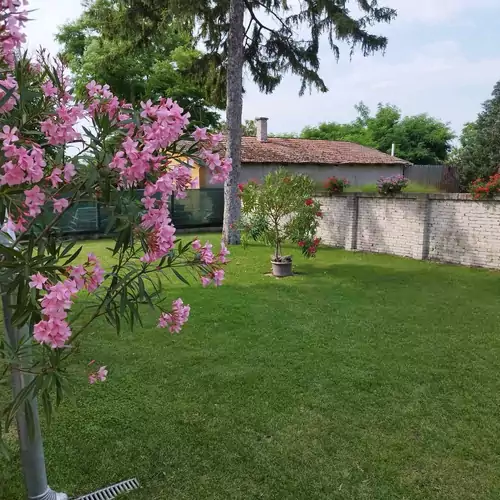 Tartós Szegfű Vendégház Tázlár 074 kép