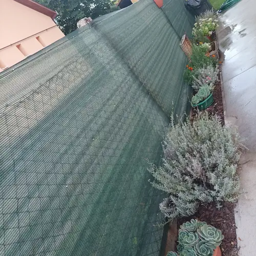 Tartós Szegfű Vendégház Tázlár 107 kép