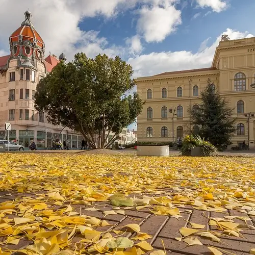 University city life bestern Szeged 018 kép