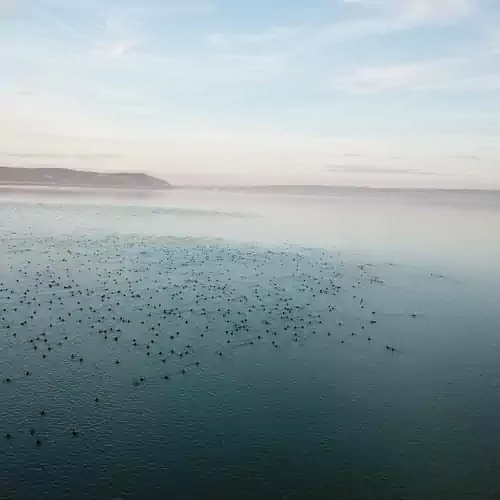 Kisleshegy Vendégház Balatonudvari 022 kép