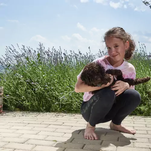 Kisleshegy Vendégház Balatonudvari 033 kép