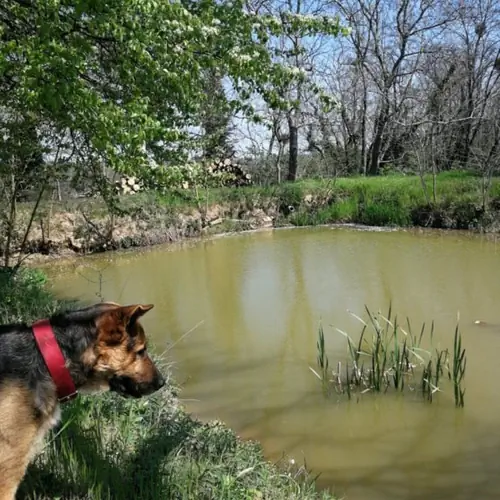 Saj&aacute;t t&oacute; horg&aacute;szhat&oacute;, gyerekeknek is garant&aacute;lt siker&eacute;lm&eacute;ny :) 