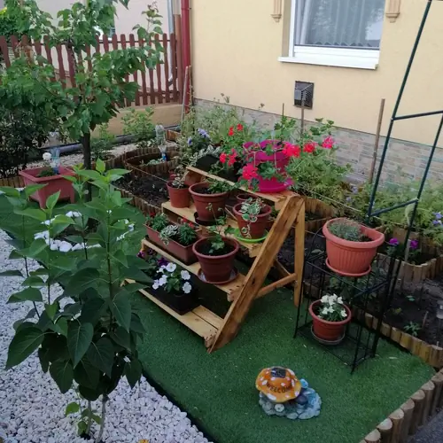 előkert