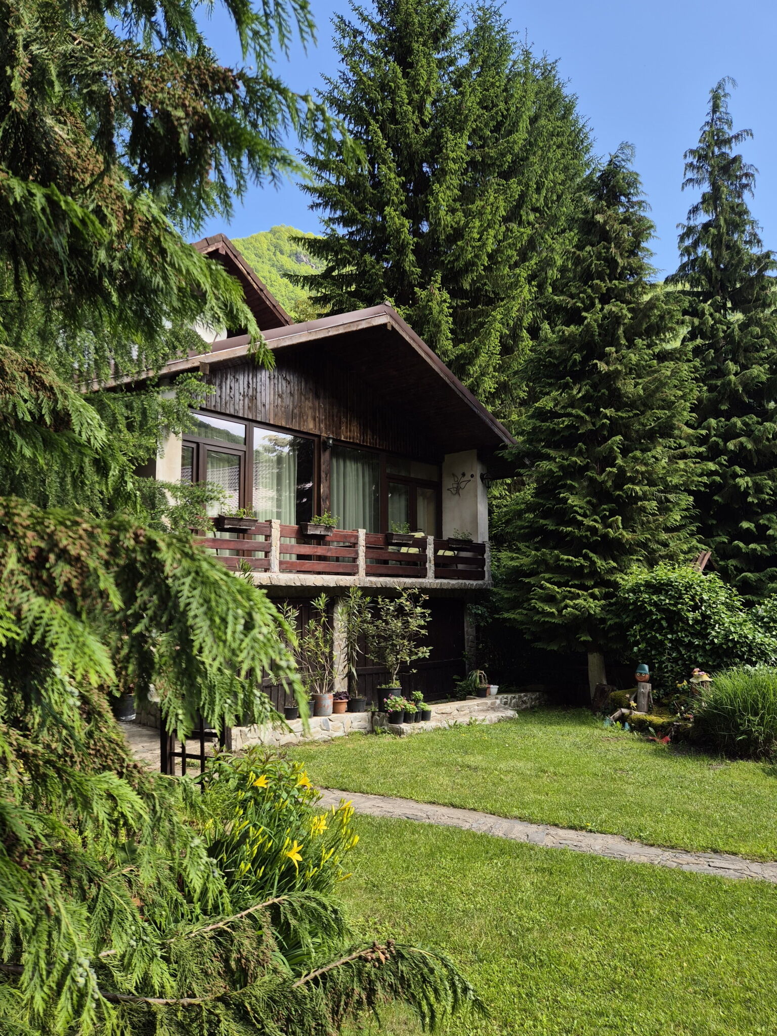 Căsuța Floare de Colț Clopotiva