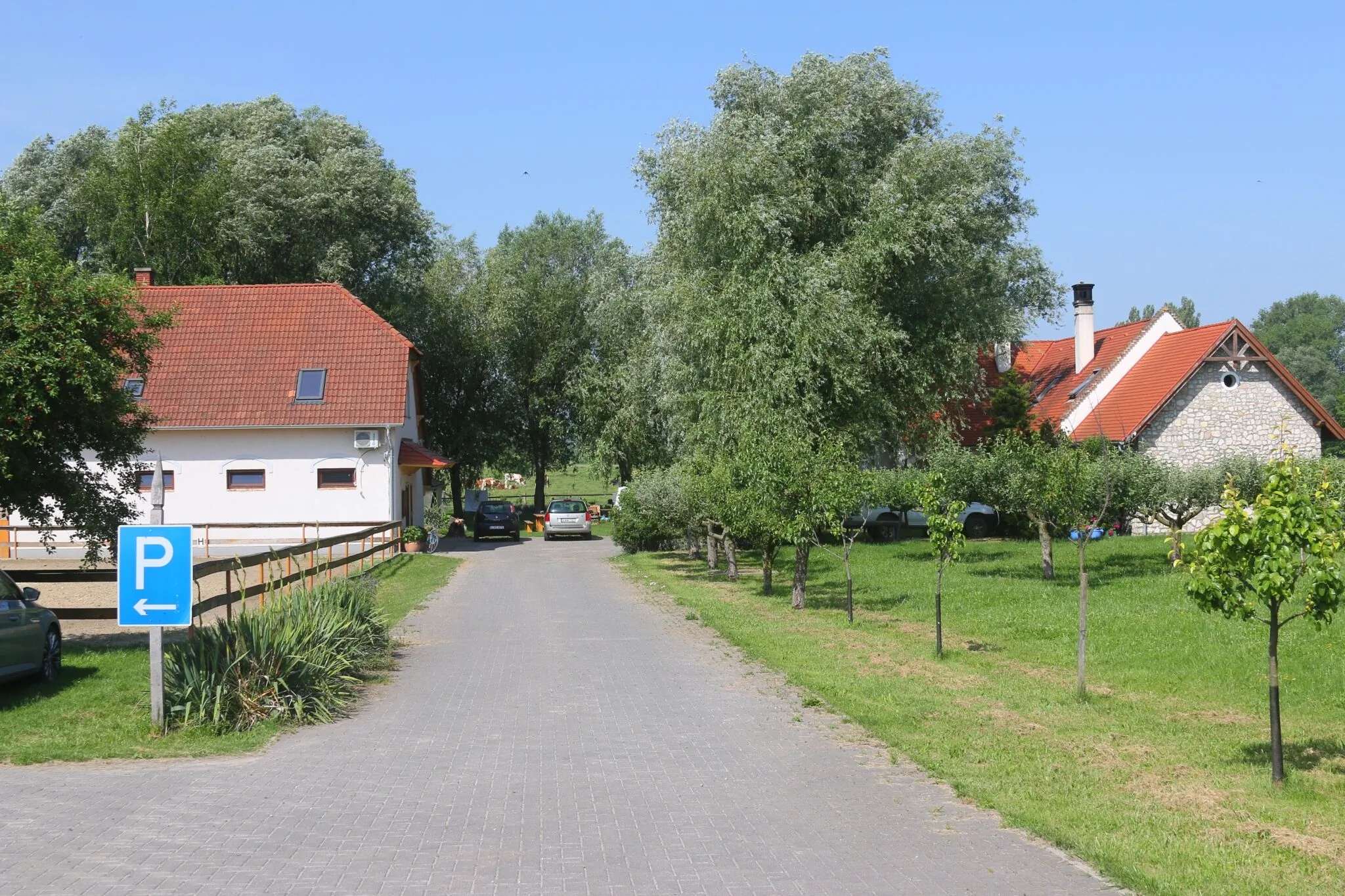 Behajt&aacute;s Gyulavez&eacute;r Lovasbirodalm&aacute;ba - &Eacute;rkez&eacute;s