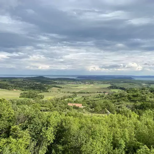 Gella Kúria Balatonszőlő 034 kép