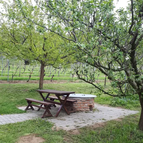 Bogr&aacute;cs,grill