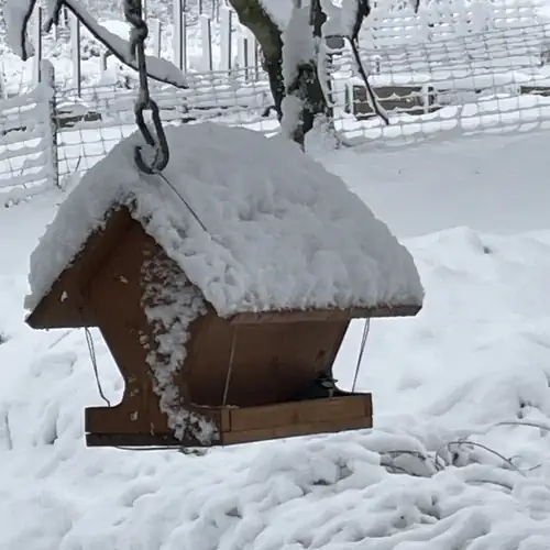 Bók Tanya és Vendégház Hidegkút 010 kép